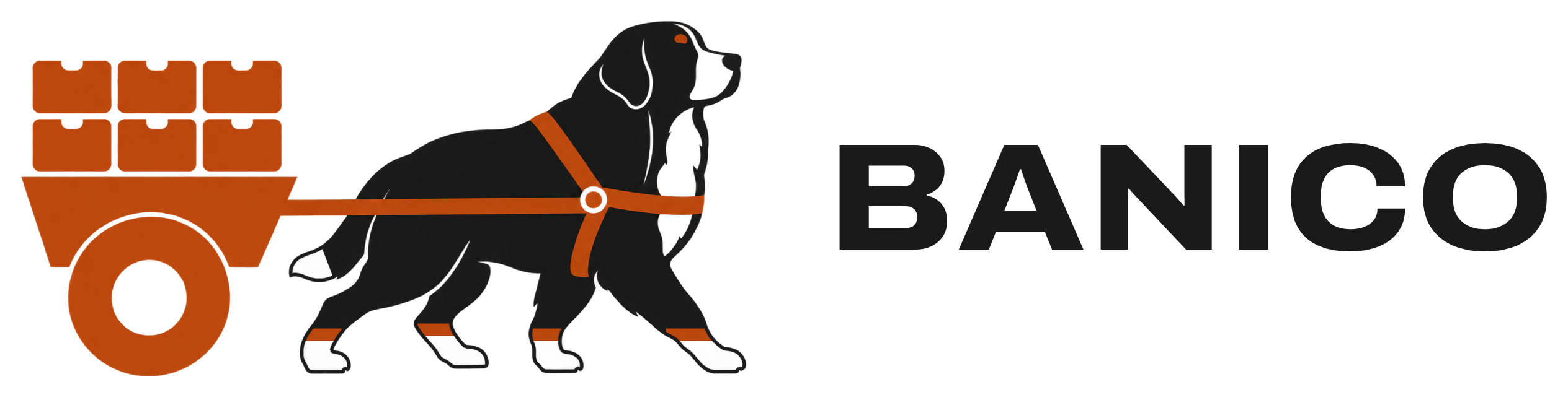 BANICO
